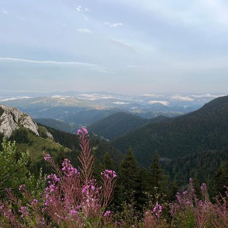 Lux Apartman A18 & Spa Centar Kopaonik Buitenkant foto