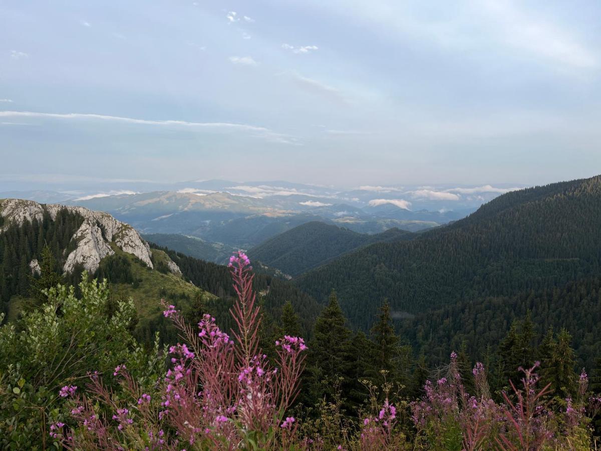 Lux Apartman A18 & Spa Centar Kopaonik Buitenkant foto