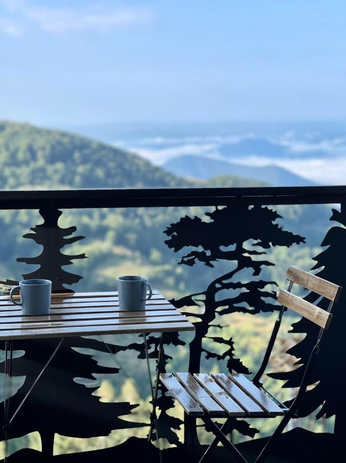 Lux Apartman A18 & Spa Centar Kopaonik Buitenkant foto